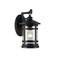 Chloe Lighting Transitional Style Wall Sconce with Clear Seeded Glass, Black